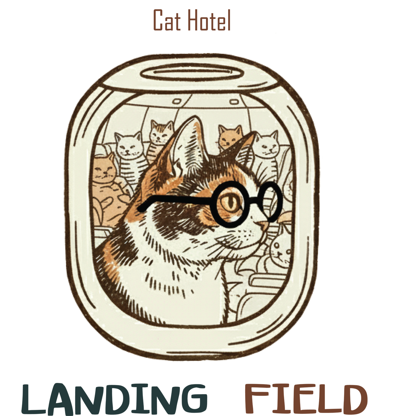 Landing Field Cat Hotel